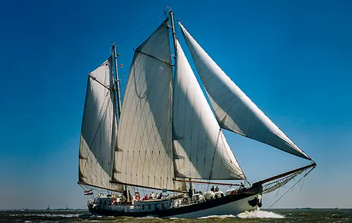 Segelschiff Elegant auf der Ostsee
